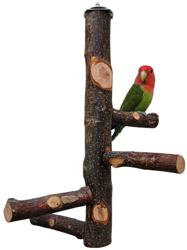 Bird Perches Nature Wood Stand Toy Paw Grinding Stand