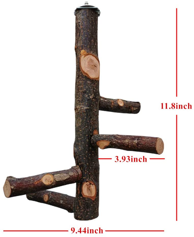 Bird Perches Nature Wood Stand Toy Paw Grinding Stand