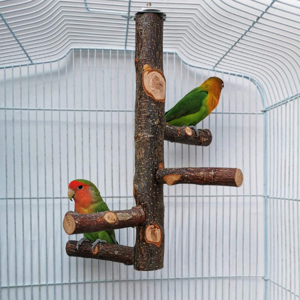Bird Perches Nature Wood Stand Toy Paw Grinding Stand