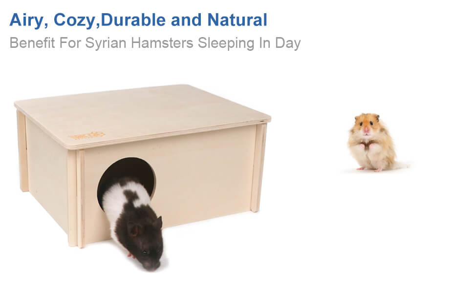 Hamster Explore Tunnel Maze Toys for Mice Gerbils Mouse Syrian Hamsters